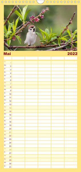 Produktbild: Familienplaner Gartenv&ouml;gel (Wandkalender 2022 , 21 cm x 45 cm, hoch)