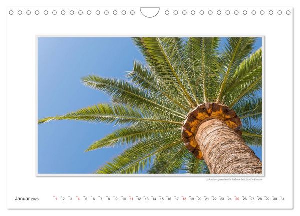 Produktbild: Emotionale Momente: Mallorca - der S&uuml;den. (Wandkalender 2026 DIN A4 quer), CALVENDO Monatskalender