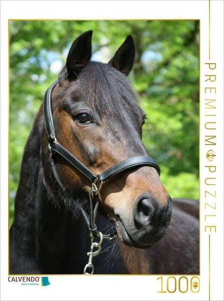Produktbild: CALVENDO Puzzle Ein Motiv aus dem Kalender Traumhafte Pferdeportraits | 1000 Teile Lege-Gr&ouml;&szlig;e 64x48cm Foto-Puzzle f&uuml;r gl&uuml;ckliche Stunden