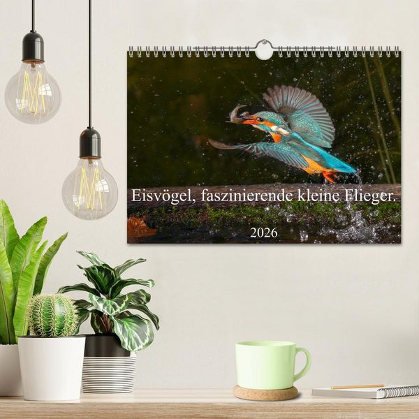 Produktbild: Eisv&ouml;gel, faszinierende kleine Flieger. (Wandkalender 2026 DIN A4 quer), CALVENDO Monatskalender