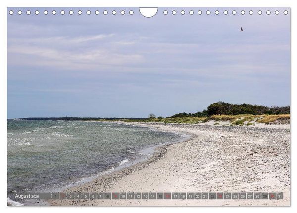 Produktbild: Fischland Dar&szlig; Zingst - wie gemalt (Wandkalender 2026 DIN A4 quer), CALVENDO Monatskalender