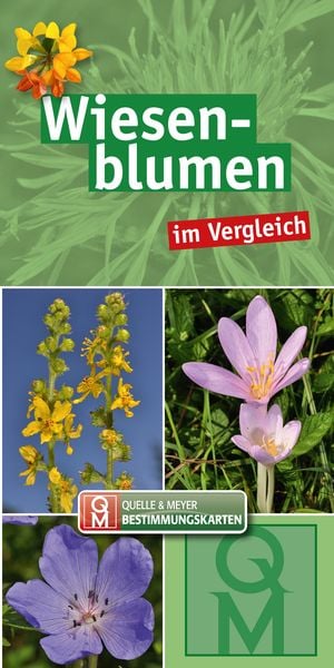 Produktbild: Wiesenblumen
