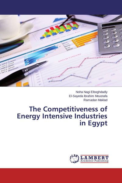 Produktbild: The Competitiveness of Energy Intensive Industries in Egypt