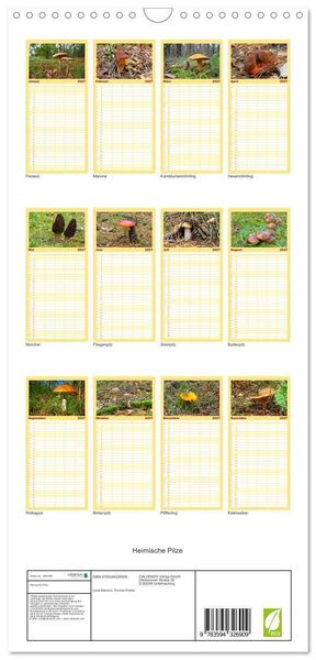 Produktbild: Familienplaner 2027 - Heimische Pilze mit 5 Spalten (Wandkalender, 21 x 45 cm) CALVENDO