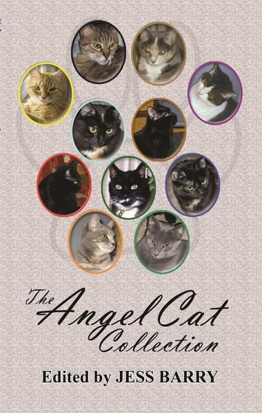 Produktbild: The Angel Cat Collection