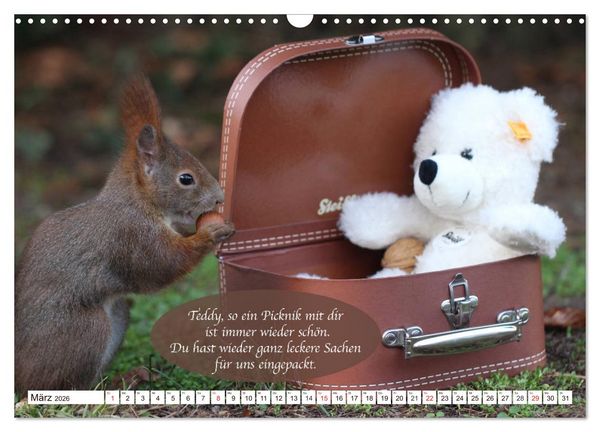Produktbild: Eichh&ouml;rnchen - Lustige Kurzgeschichten mit den quirligen Wildtieren (Wandkalender 2026 DIN A3 quer), CALVENDO Monatskalender