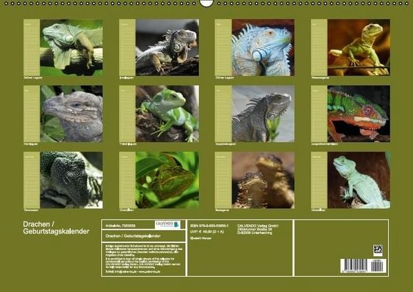 Produktbild: Drachen / Geburtstagskalender (Wandkalender immerw&auml;hrend DIN A2 quer)
