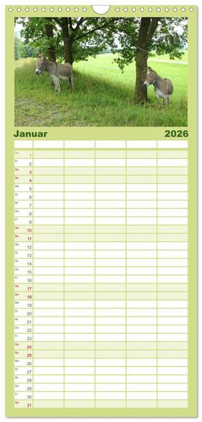 Produktbild: Familienplaner 2026 - Esel - liebenswerte Langohren mit 5 Spalten (Wandkalender, 21 x 45 cm) CALVENDO