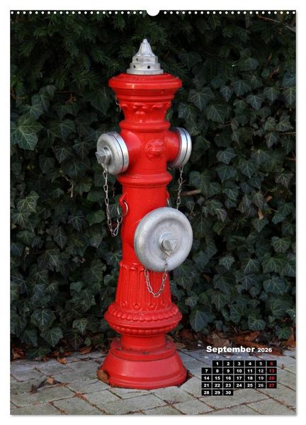 Produktbild: Nostalgie Hydranten (hochwertiger Premium Wandkalender 2026 DIN A2 hoch), Kunstdruck in Hochglanz