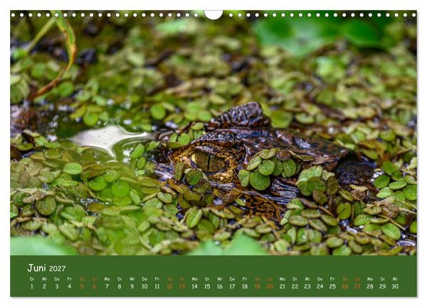Produktbild: Costa Rica - Naturparadies zwischen Karibik und Pazifik (Wandkalender 2027 DIN A3 quer), CALVENDO Monatskalender