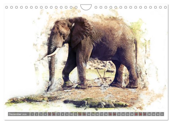 Produktbild: Tierportraits - Fine Art (Wandkalender 2026 DIN A4 quer), CALVENDO Monatskalender