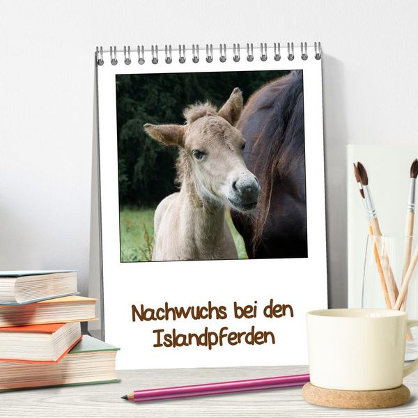 Produktbild: Nachwuchs bei den Islandpferden (Tischkalender 2026 DIN A5 hoch), CALVENDO Monatskalender