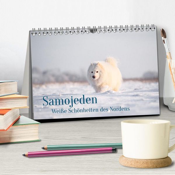 Produktbild: Samojeden - Liebenswerte Fellkugeln (Tischkalender 2026 DIN A5 quer), CALVENDO Monatskalender