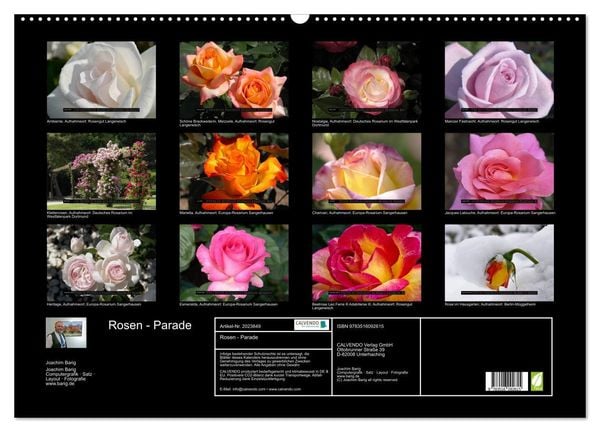 Produktbild: Rosen - Parade (Wandkalender 2026 DIN A2 quer), CALVENDO Monatskalender