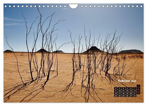 Produktbild: &Auml;gypten &ndash; westliche W&uuml;sten (Wandkalender 2026 DIN A4 quer), CALVENDO Monatskalender