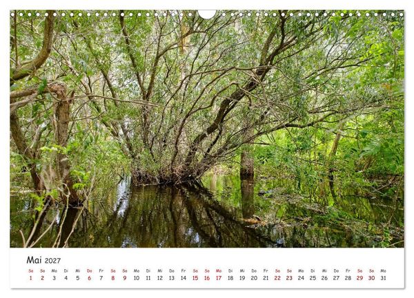 Produktbild: Donau-Delta (Wandkalender 2027 DIN A3 quer), CALVENDO Monatskalender