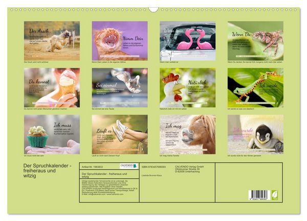 Produktbild: Der Spruchkalender - freiheraus und witzig (Wandkalender 2026 DIN A2 quer), CALVENDO Monatskalender