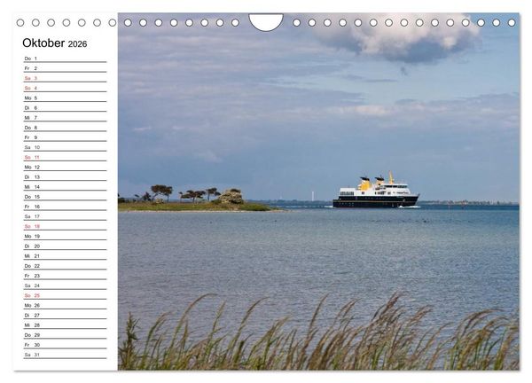 Produktbild: Insel &AElig;r&oslash; - Perle der D&auml;nischen S&uuml;dsee (Wandkalender 2026 DIN A4 quer), CALVENDO Monatskalender