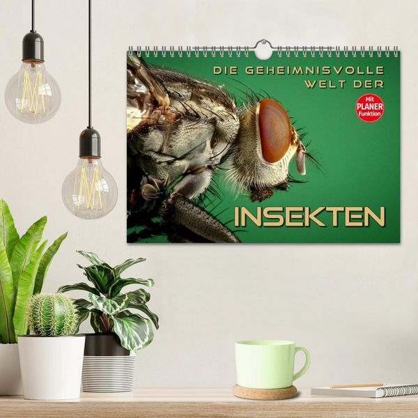 Produktbild: Die geheimnisvolle Welt der Insekten (Wandkalender 2026 DIN A4 quer), CALVENDO Monatskalender