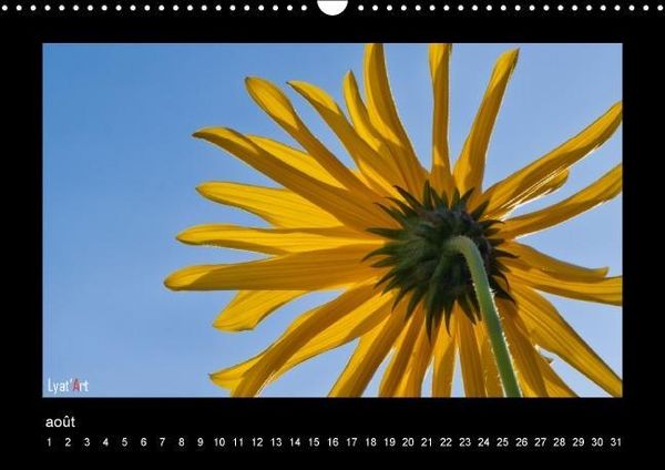 Produktbild: Liatard, A: Fleurs et couleurs (Calendrier mural Calendrier