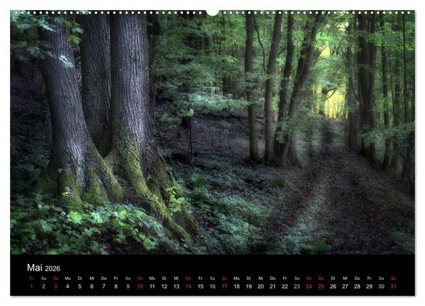 Produktbild: Waldkalender (Wandkalender 2026 DIN A2 quer), CALVENDO Monatskalender