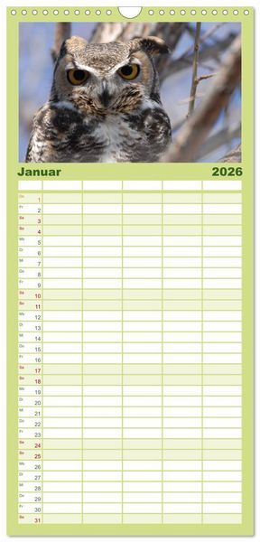 Produktbild: Familienplaner 2026 - Eulen. W&auml;chter der Nacht mit 5 Spalten (Wandkalender, 21 x 45 cm) CALVENDO