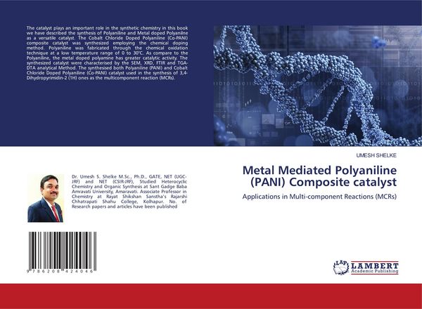 Produktbild: Metal Mediated Polyaniline (PANI) Composite catalyst