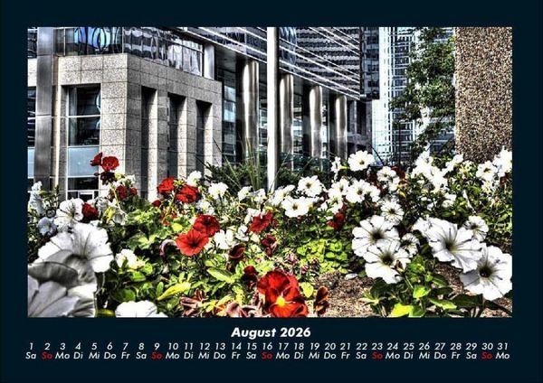 Produktbild: Blumenkalender 2026 Fotokalender DIN A4