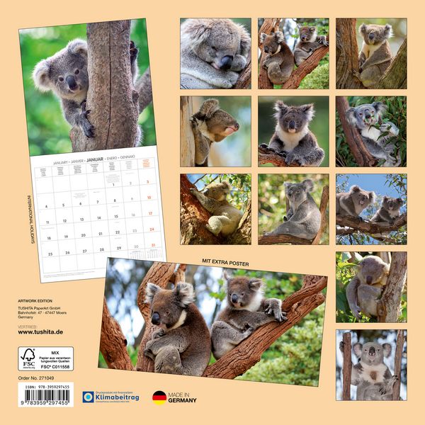 Produktbild: Koalas 2027