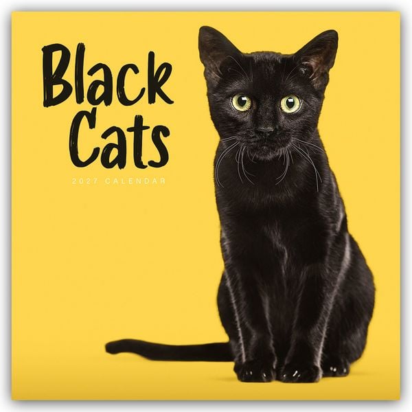 Produktbild: Black Cats &ndash; Schwarze Katzen 2027 &ndash; Wand-Kalender