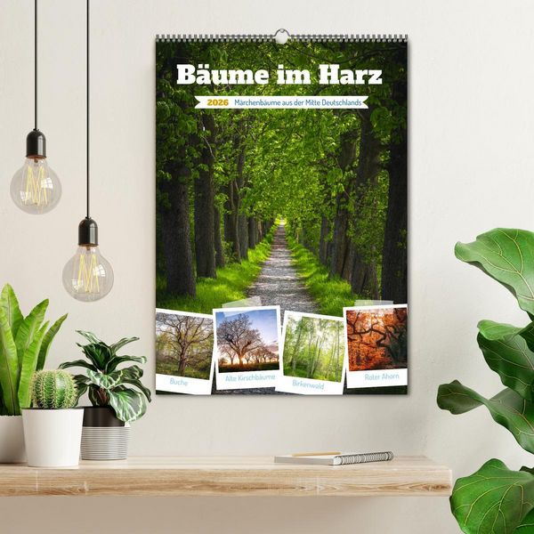 Produktbild: B&auml;ume im Harz (Wandkalender 2026 DIN A2 hoch), CALVENDO Monatskalender