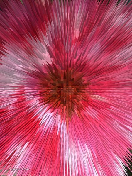 Produktbild: CALVENDO Puzzle Ein Motiv aus dem Kalender Flower Explosion PHOTO ART&deg; by Rosemarie Hofer | 1000 Teile Lege-Gr&ouml;&szlig;e 64x48cm Foto-Puzzle f&uuml;r gl&uuml;ckliche Stunden