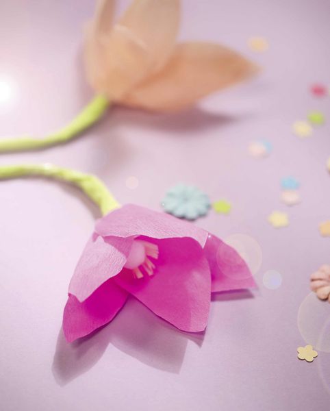 Produktbild: Folia  Krepppapier-Lagen, 50cmx2,5m, 10 Lagen, farbig sortiert