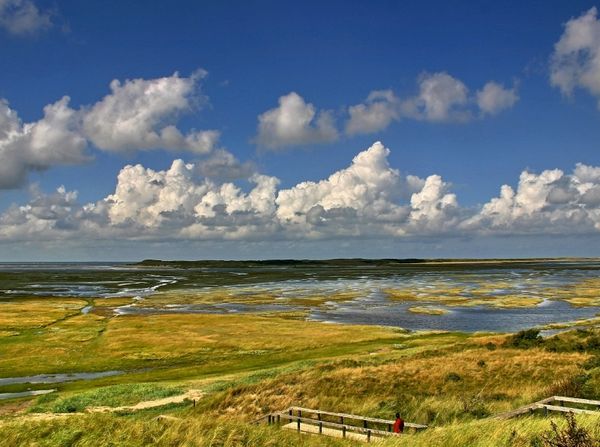 Produktbild: De Slufter (Puzzle)