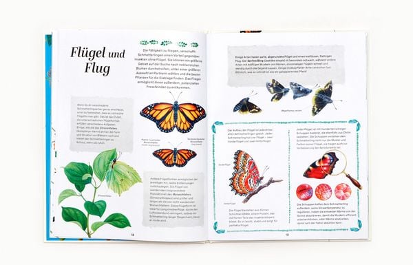 Produktbild: Schmetterlinge