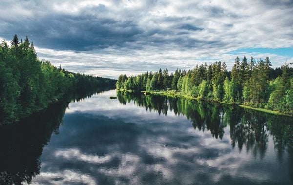 Produktbild: Nordic Feeling