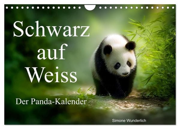Schwarz auf Weiß - Der Panda-Kalender (Wandkalender 2026 DIN A4 quer), CALVENDO Monatskalender