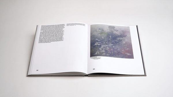 Produktbild: Sibylle Springer: Ferne Spiegel / Distant Mirrors