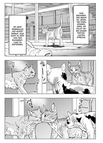 Produktbild: Night of the Living Cat 04 - Die Katze aus einer anderen Welt - D-Rex