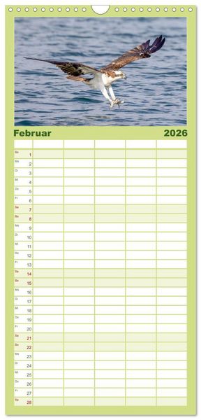 Produktbild: Familienplaner 2026 - Europas Greifv&ouml;gel und Eulen mit 5 Spalten (Wandkalender, 21 x 45 cm) CALVENDO