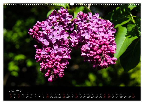 Produktbild: Butchart Gardens 2026 (hochwertiger Premium Wandkalender 2026 DIN A2 quer), Kunstdruck in Hochglanz