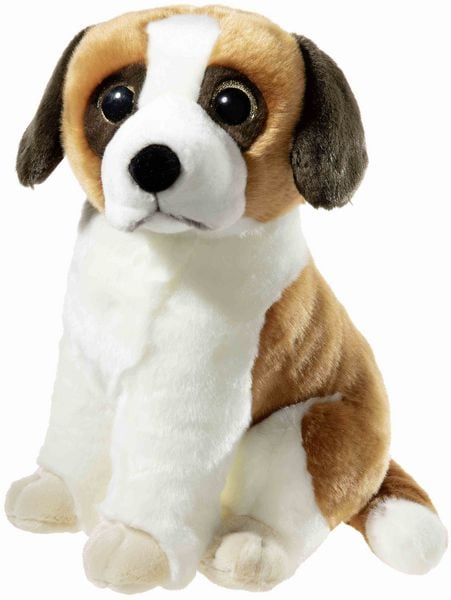 Produktbild: ALPENWELT St.Bernhard