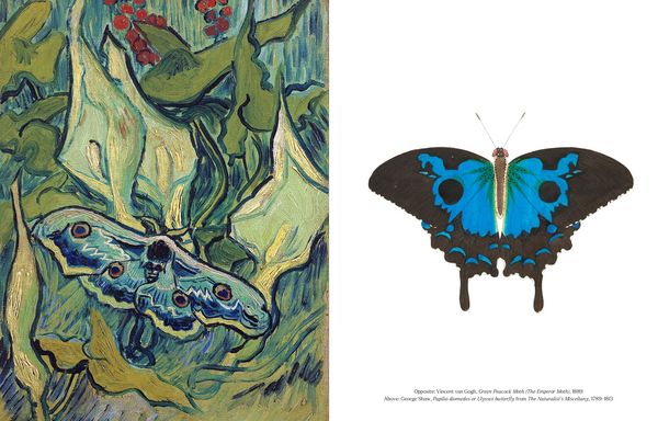 Produktbild: The Book of the Butterfly