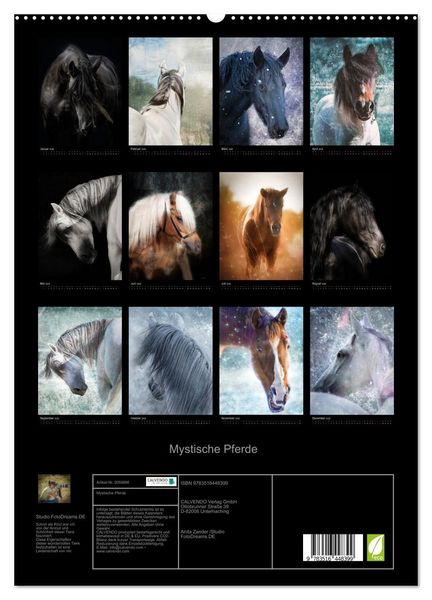 Produktbild: Mystische Pferde (hochwertiger Premium Wandkalender 2026 DIN A2 hoch), Kunstdruck in Hochglanz