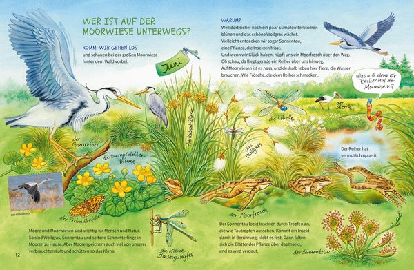 Produktbild: Geh hinaus und entdecke. Tiere und Pflanzen auf Feld und Wiese