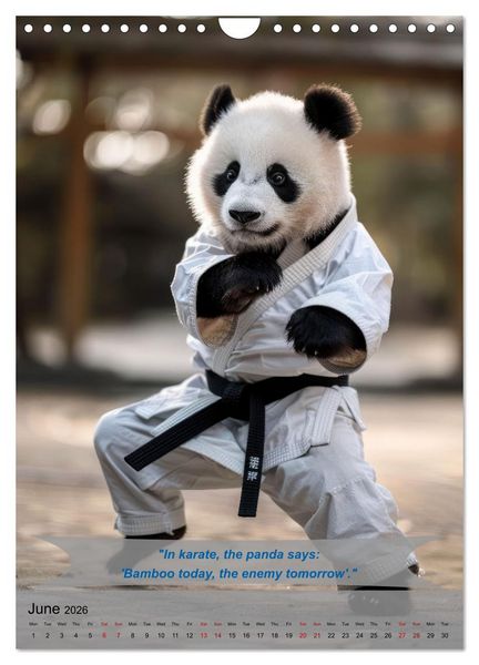Produktbild: Great fun with animal karate fighters (Wall Calendar 2026 DIN A4 portrait), CALVENDO 12 Month Wall Calendar
