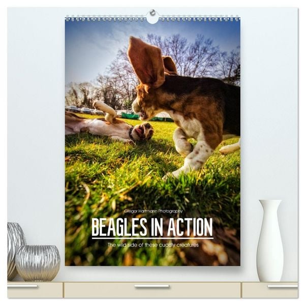 Produktbild: Beagles in action (High Quality Premium Wall Calendar 2026 DIN A2 portrait),CALVENDO 12 Month Wall Calendar