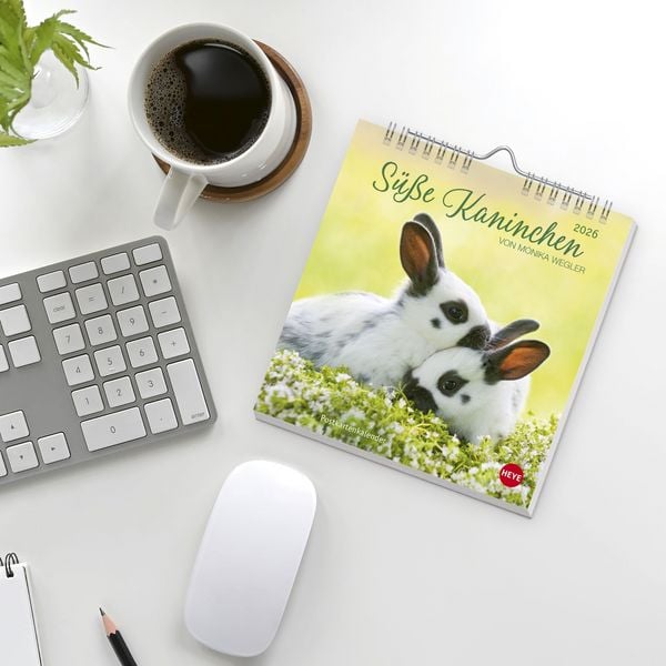 Produktbild: S&uuml;&szlig;e Kaninchen Postkartenkalender 2026