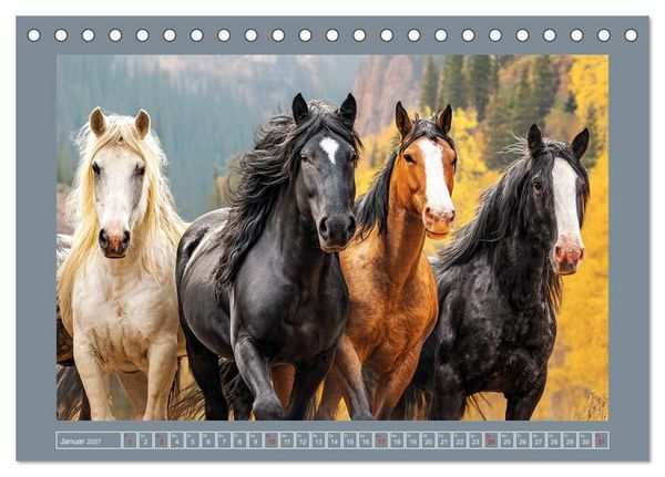 Produktbild: Mustangs. Pferde in ihrer wildesten Sch&ouml;nheit (Tischkalender 2027 DIN A5 quer), CALVENDO Monatskalender