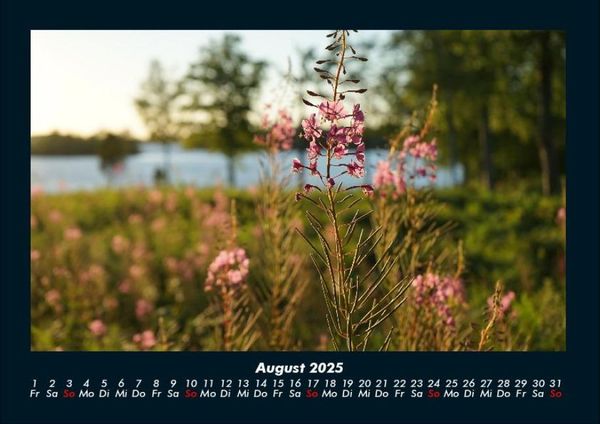 Produktbild: Blumentraum 2025 Fotokalender DIN A4